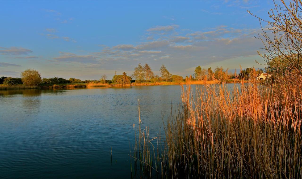 Fields End Lodges Doddington  المظهر الخارجي الصورة